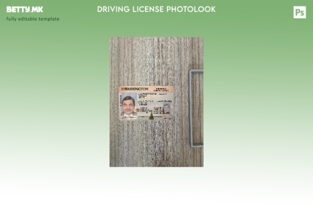 модерен стил, САД, Вашингтон, возачка дозвола претставува преден шаблон со фото 